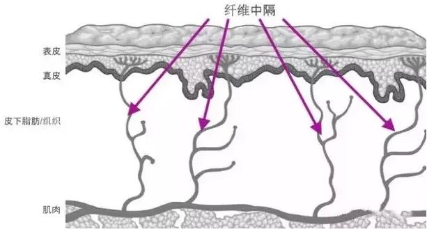 微信图片_20200810162335.jpg
